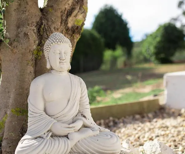 Quinta Foz Arelho Piscina Aquecida 別荘 *